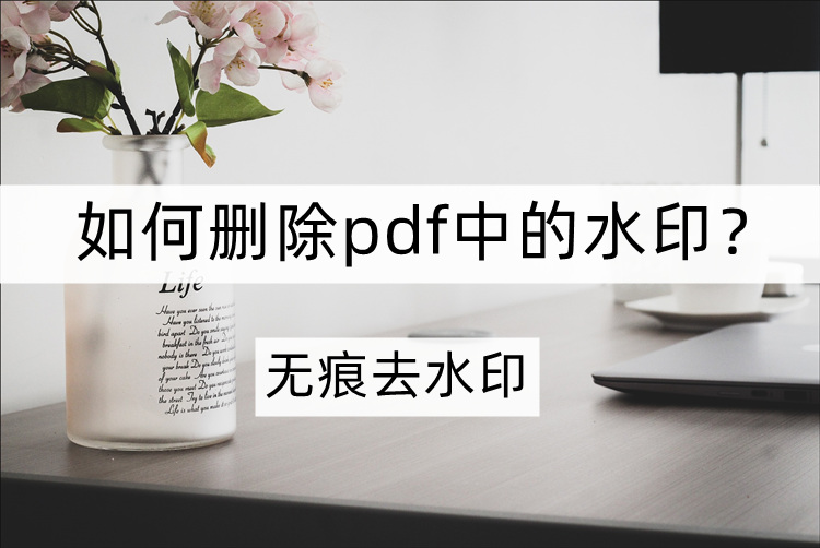 分享pdf去水印教程